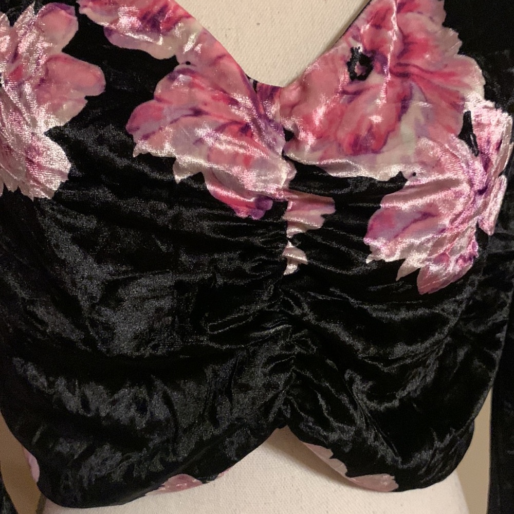 🎉Host Pick🎉 WAYF Ruched Long Sleeve Velvet Crop Top - Picture 4 of 10